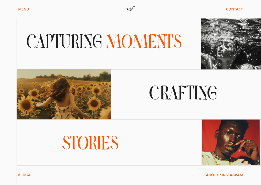 Photographer example